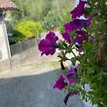 Charming Two Bedroom House 펜션