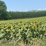 Charming Two Bedroom House * Strevi