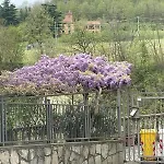 Charming Two Bedroom House * Strevi