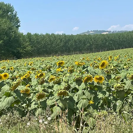 Charming Two Bedroom House * Strevi